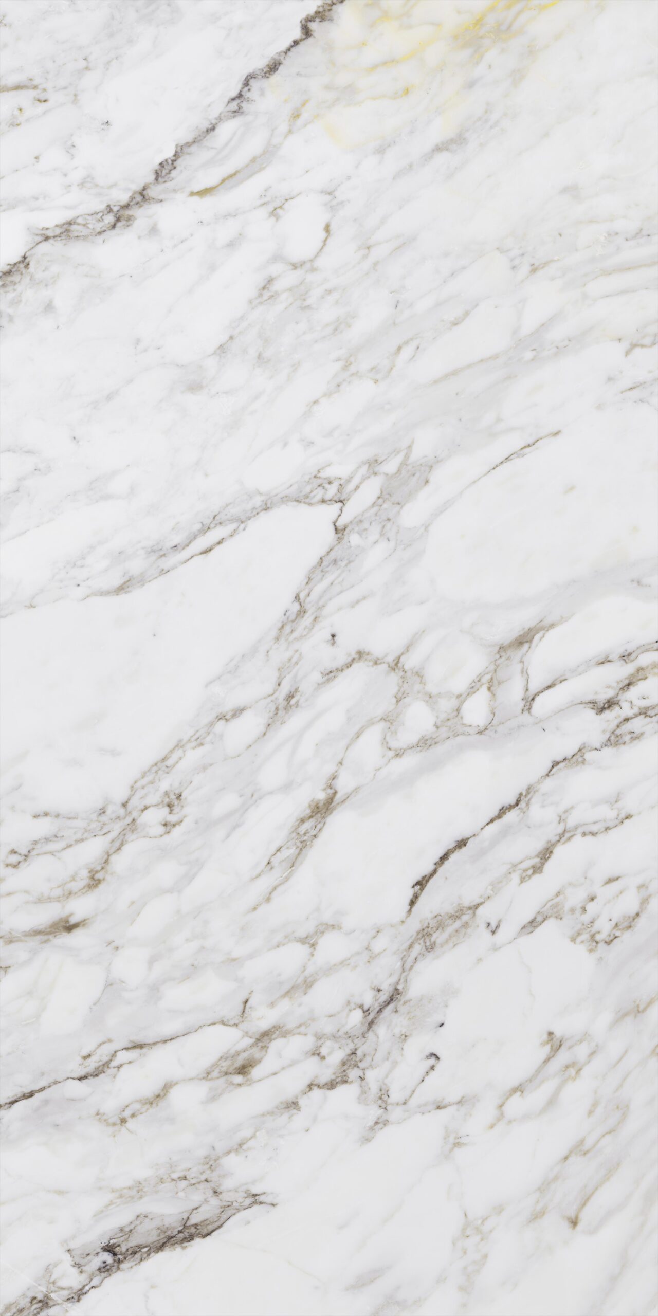 Kalesinterflex Florence