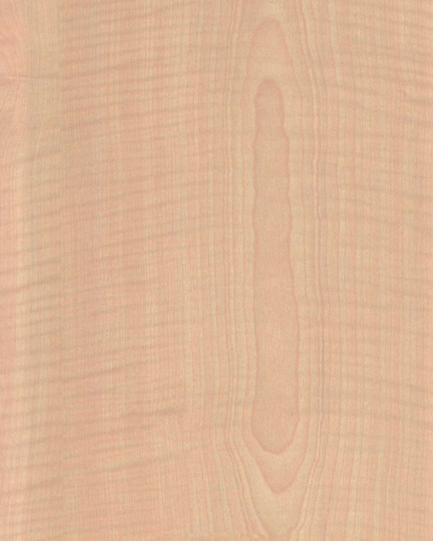 HPL Gentas 4206 – AKÇAAĞAÇ