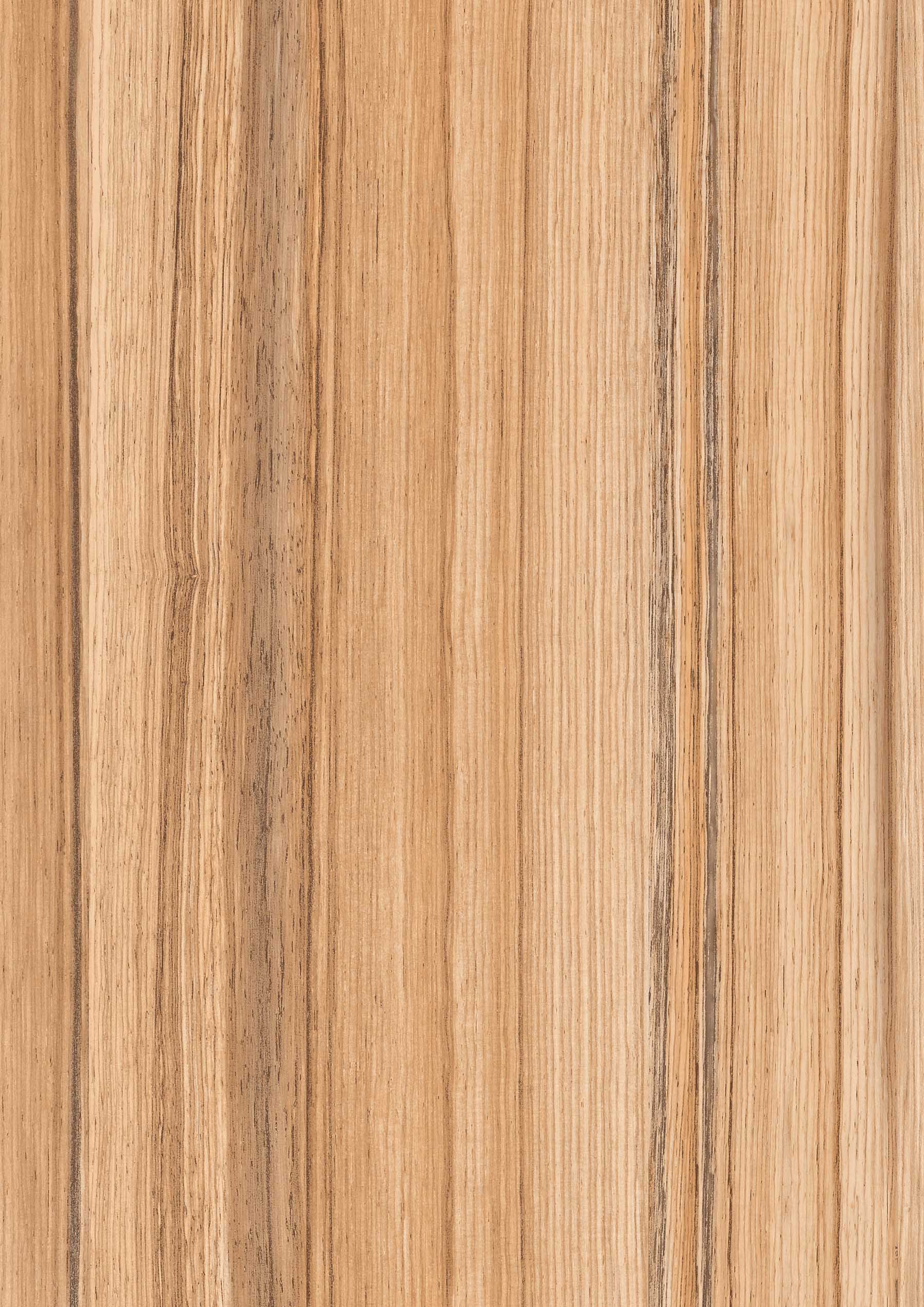 HPL Gentas 4396 – COCO BOLO