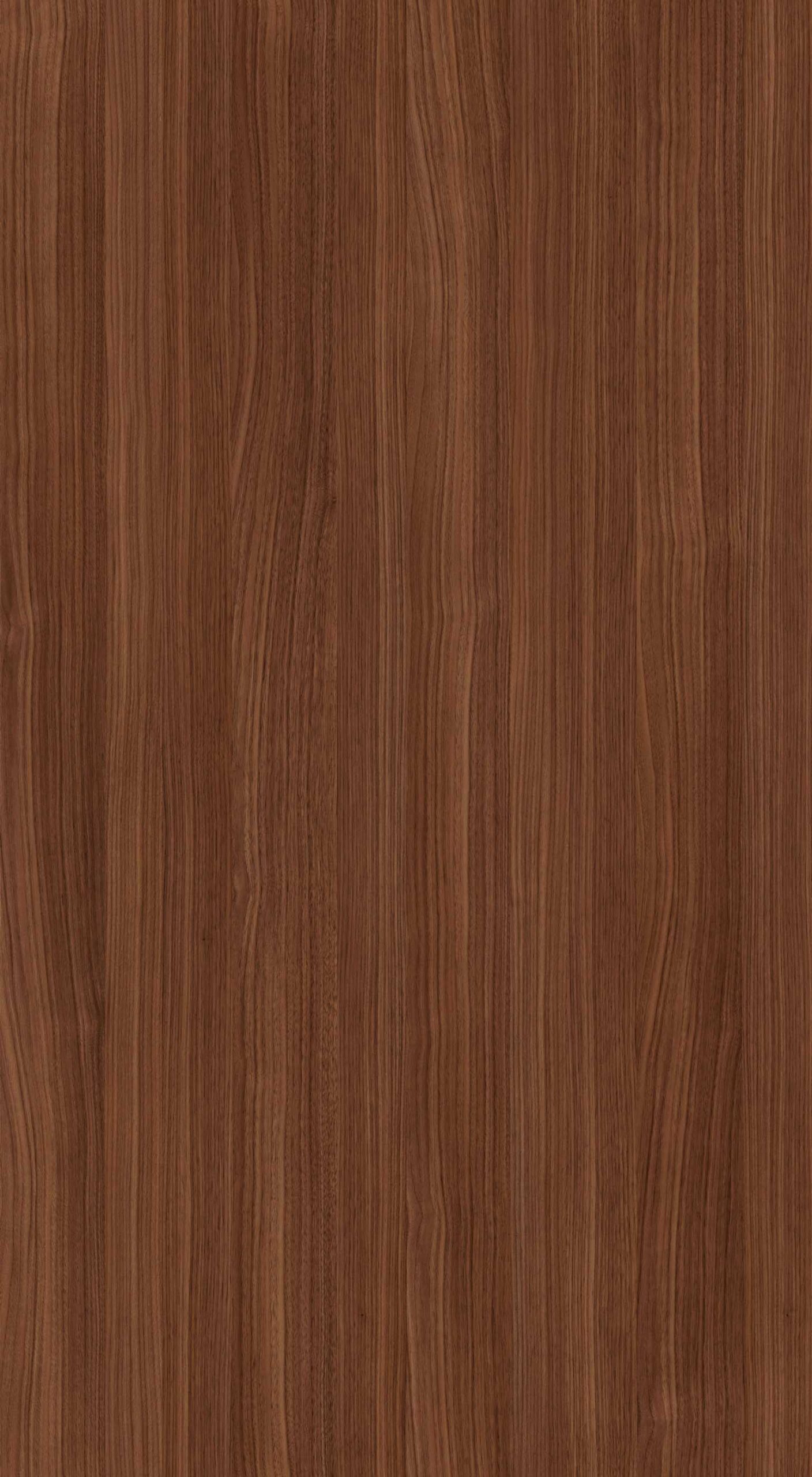 HPL Gentas 4484 – YENİ ORION CEVİZ