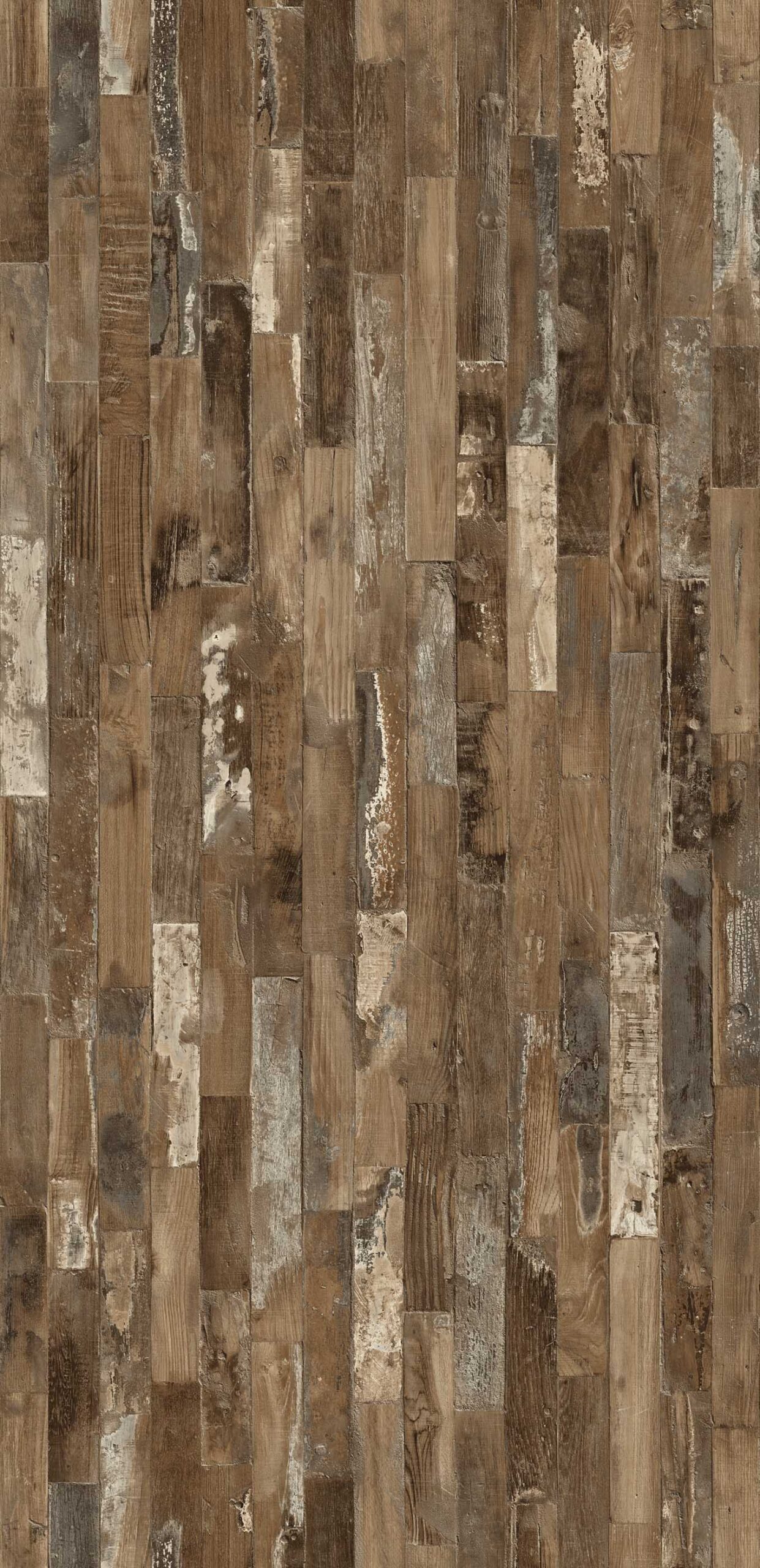 HPL Gentas 4614 – MARACAIBO