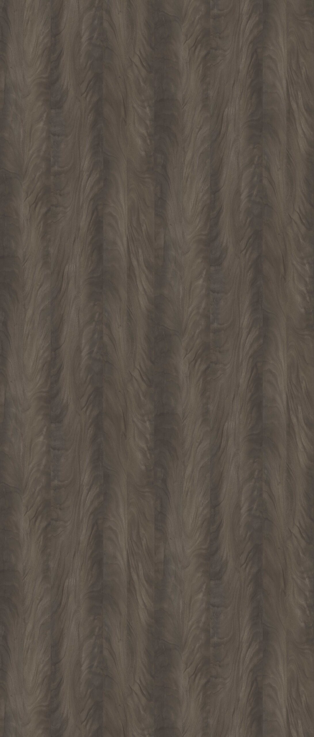 HPL Gentas 4636 – ALBATROS NEW