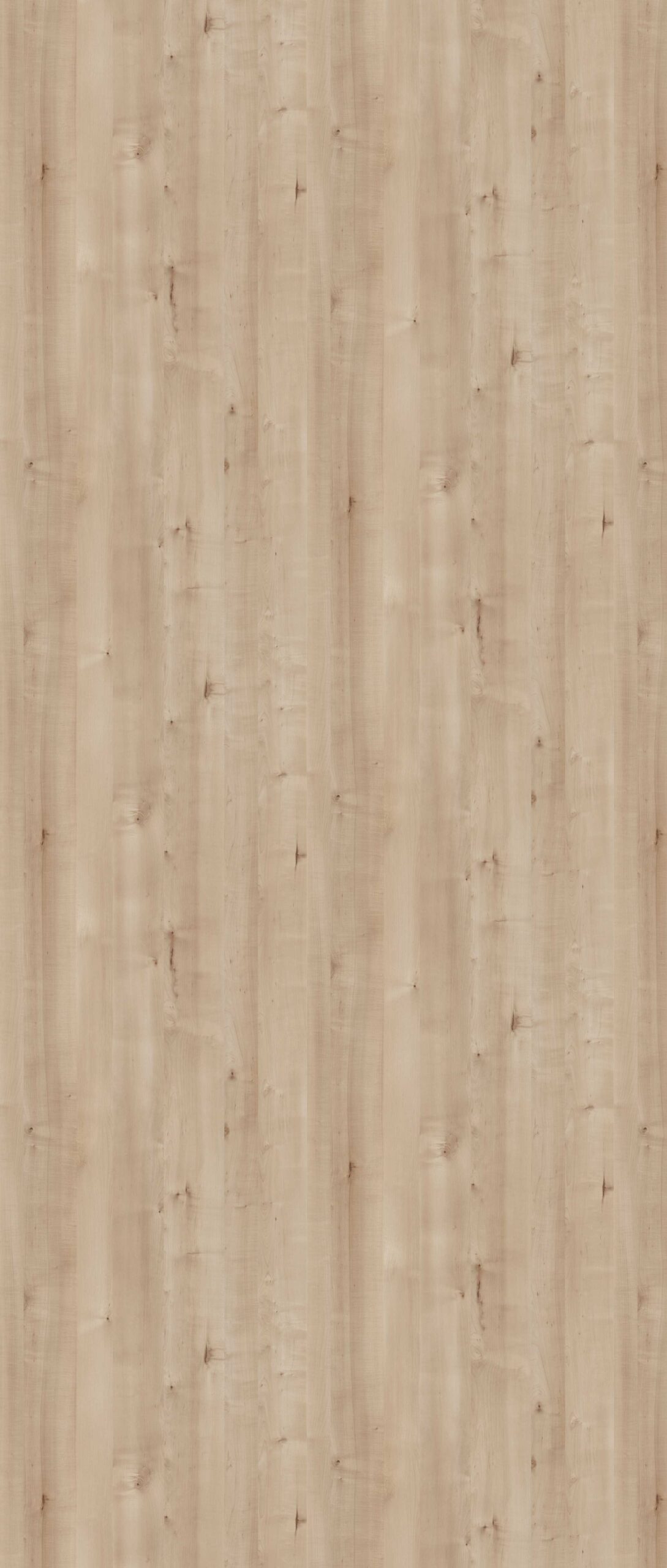 HPL Gentas 4644 – BROWN BIRCH NEW