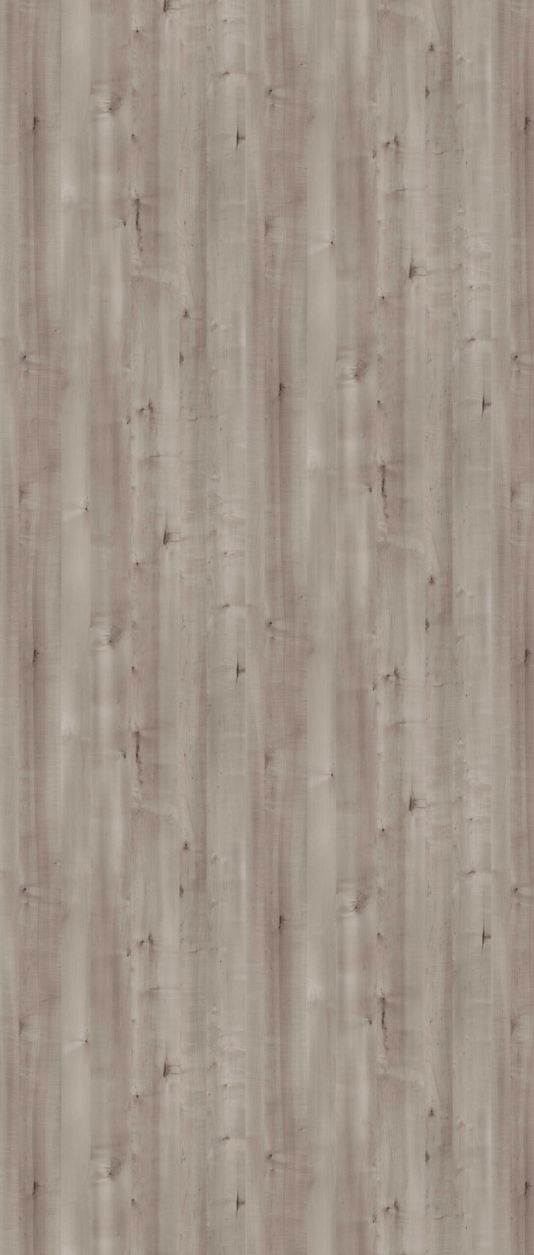 HPL Gentas 4645 – GREY BIRCH NEW