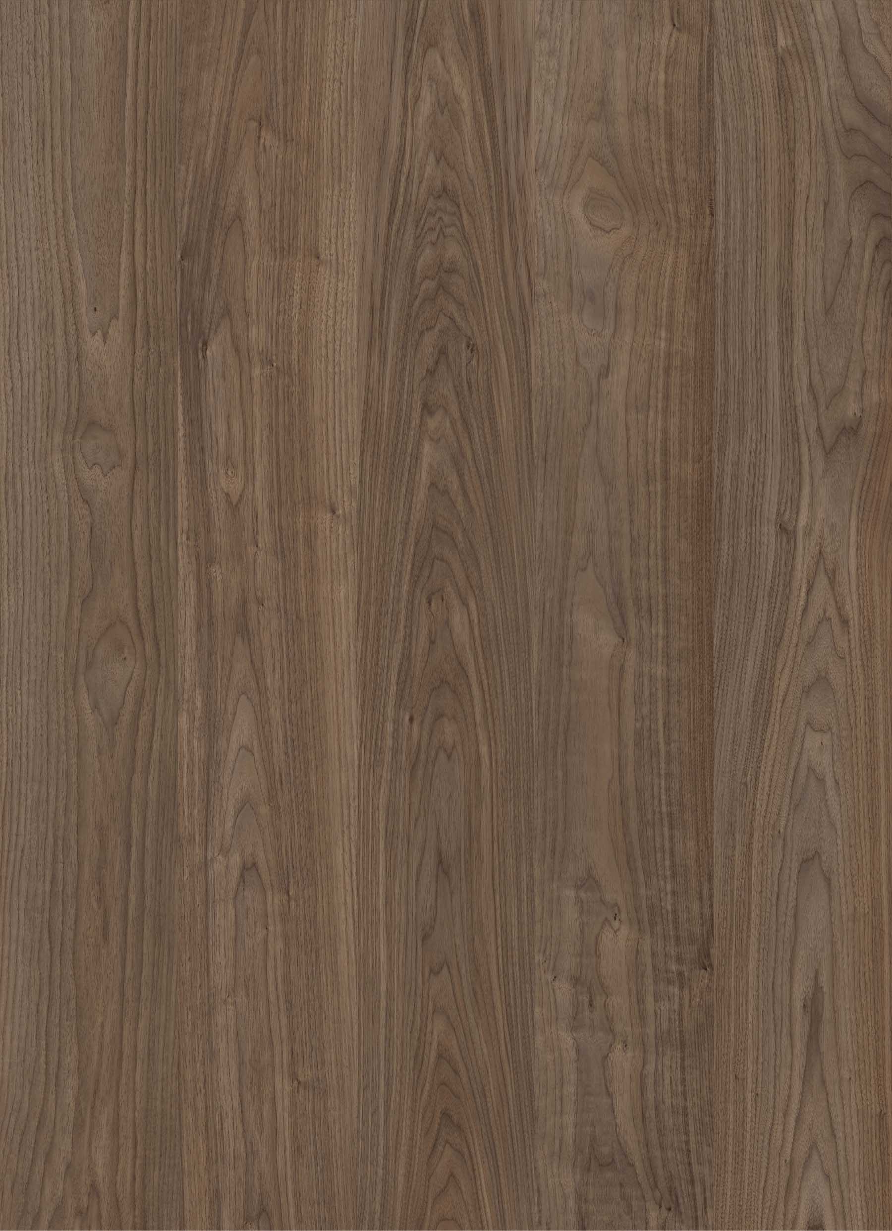 HPL Gentas 4653 – CREAM WALNUT NEW