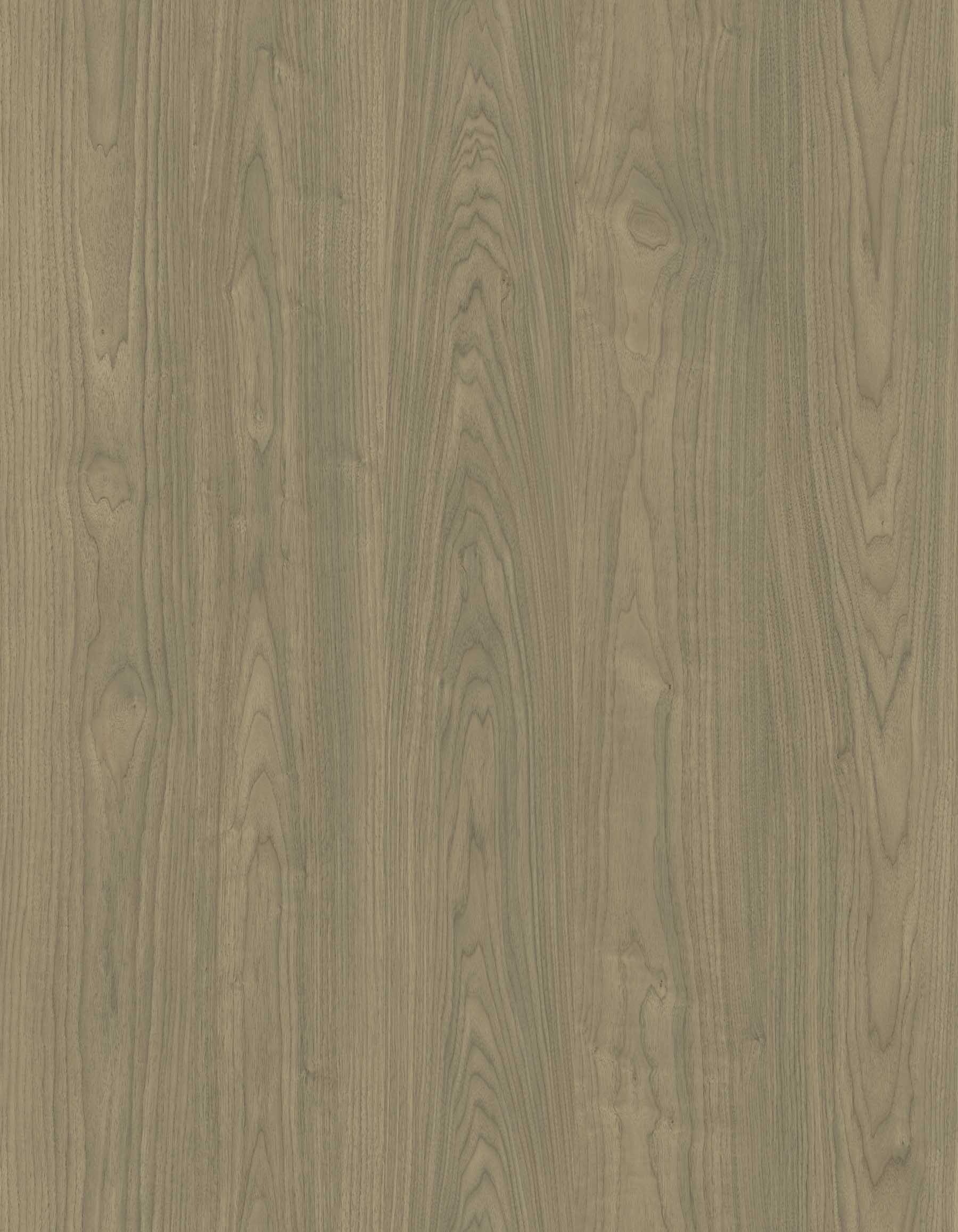 HPL Gentas 4654 – BROWN WALNUT NEW