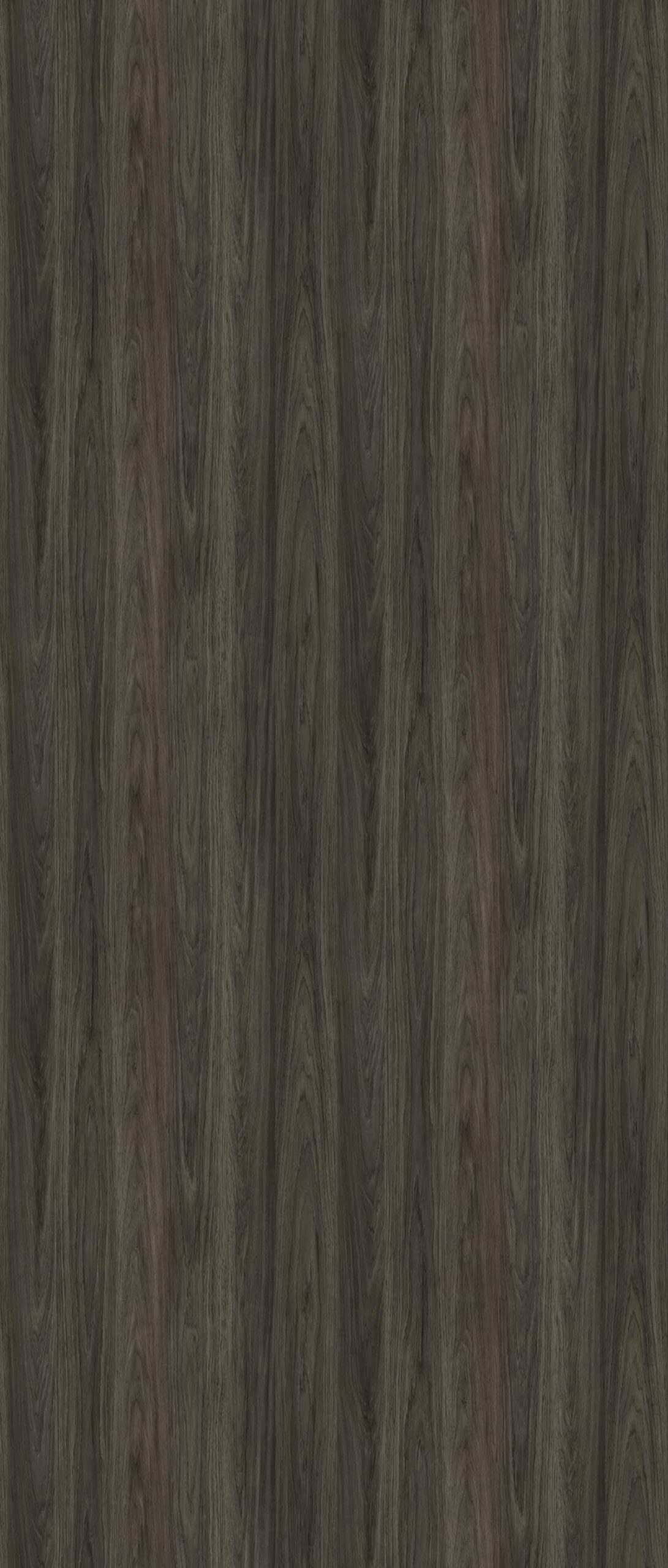 HPL Gentas 4658 – SARATOGA BLACK NEW