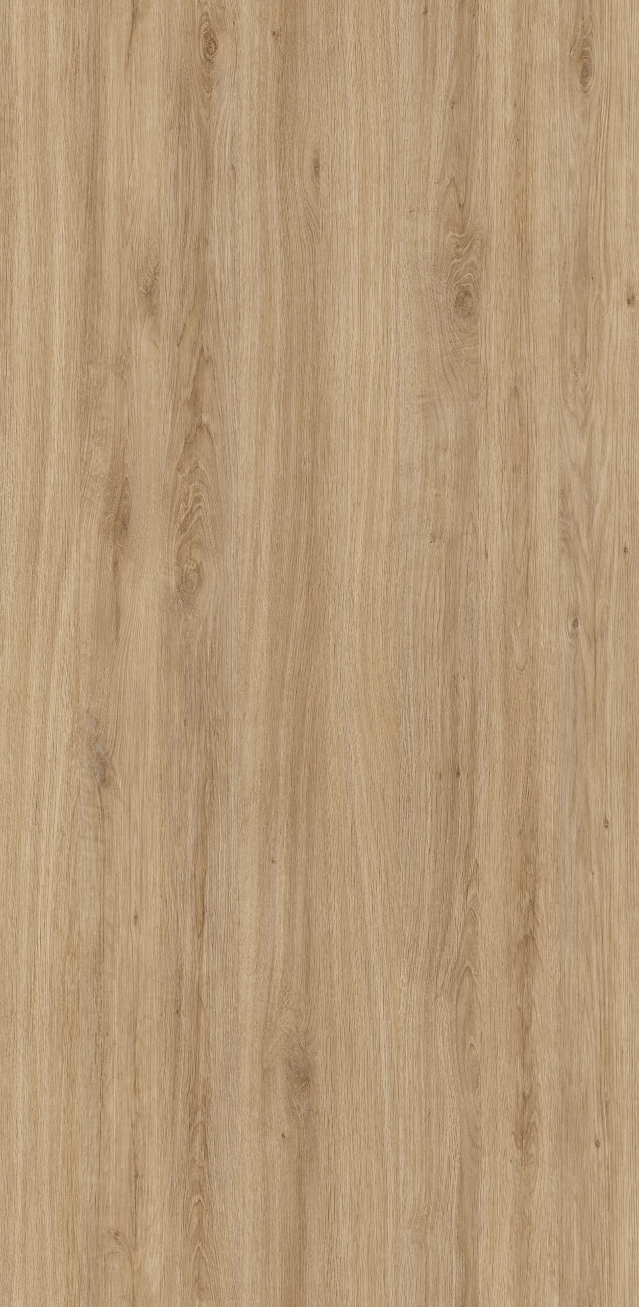 HPL Gentas 4664 – SANTANA OAK