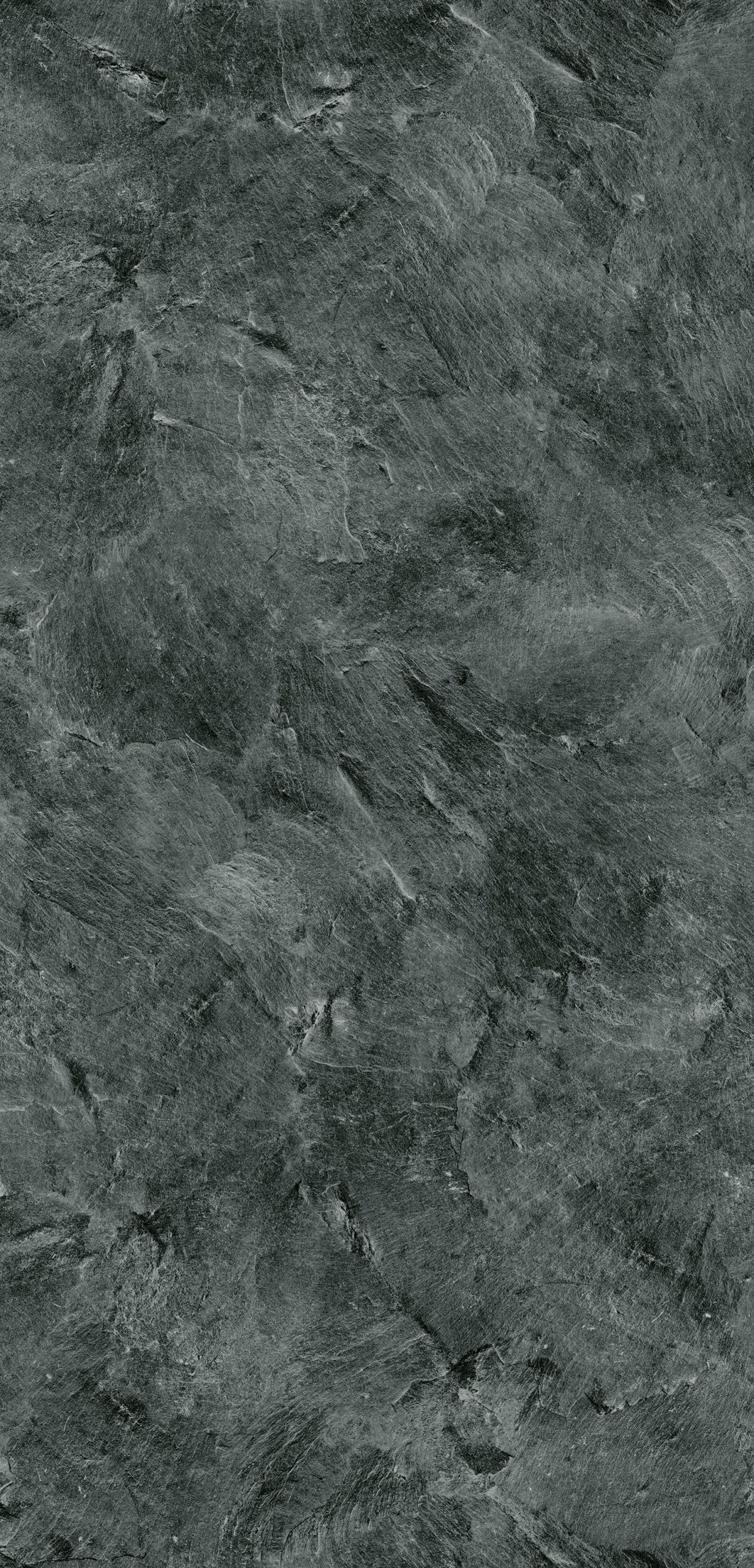 HPL Gentas 5776 – LIMOUSIN