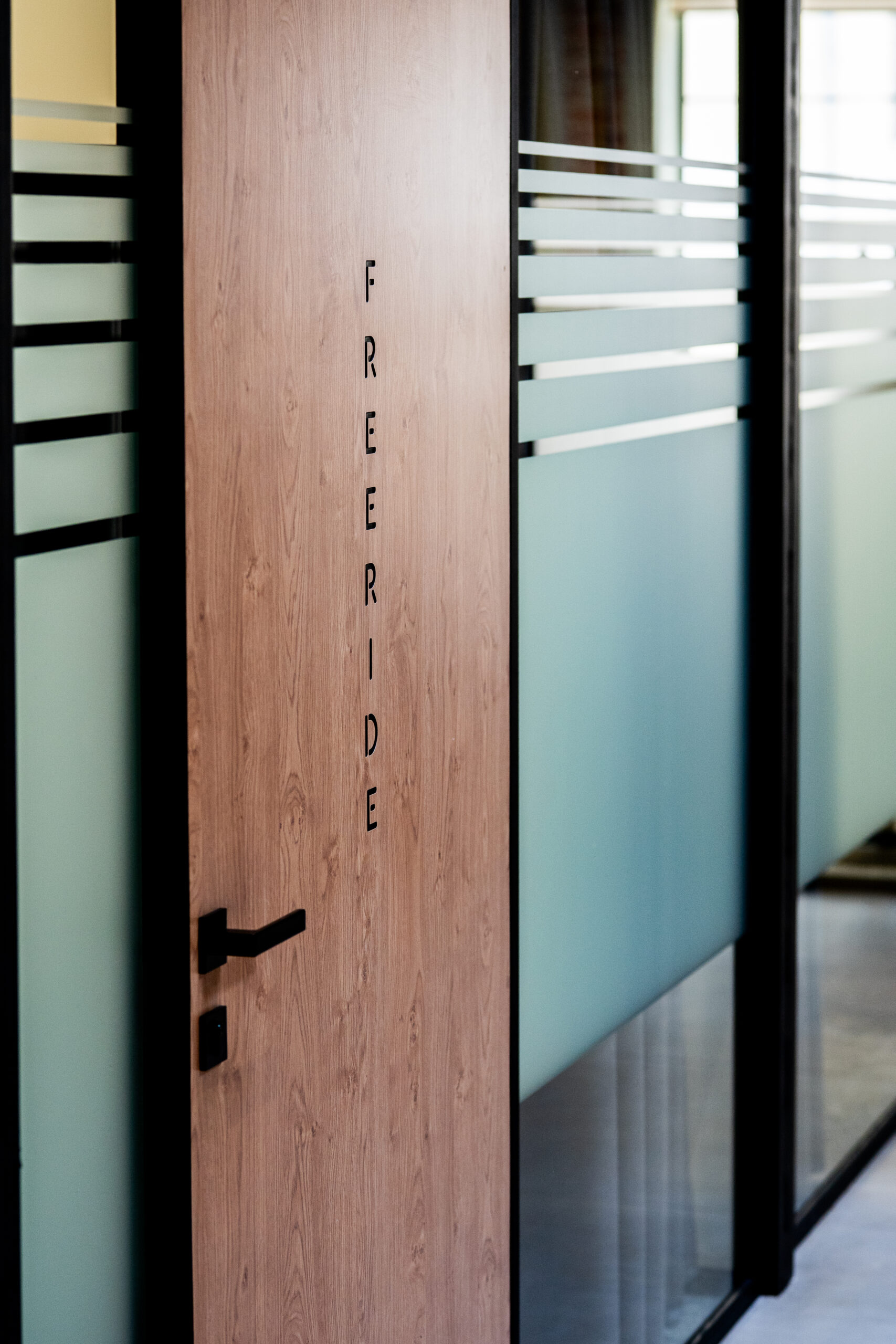 Двері з HPL, проєкт Loft, дизайн-бюро Hochu Rayu