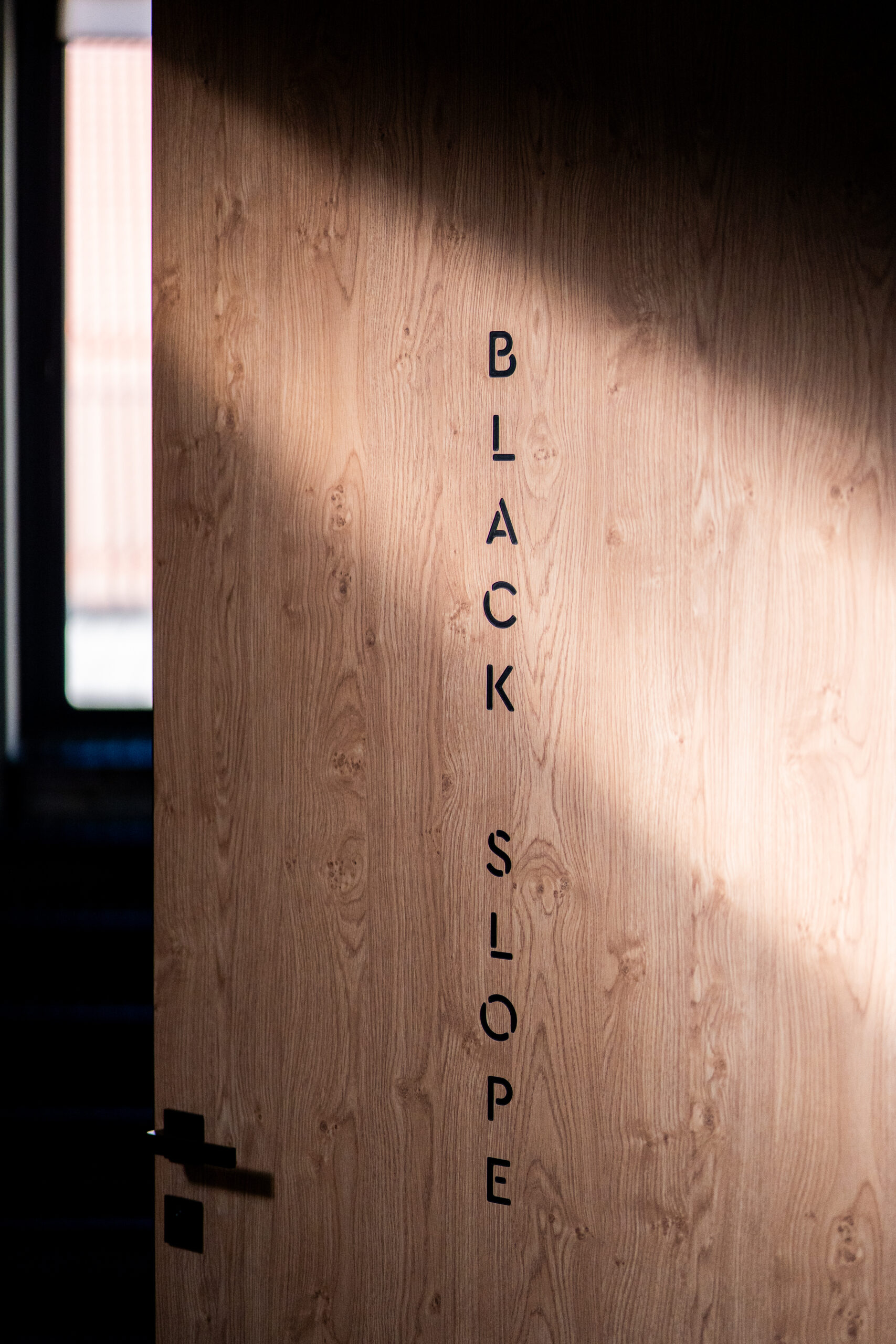 Двері з HPL, проєкт Loft, дизайн-бюро Hochu Rayu