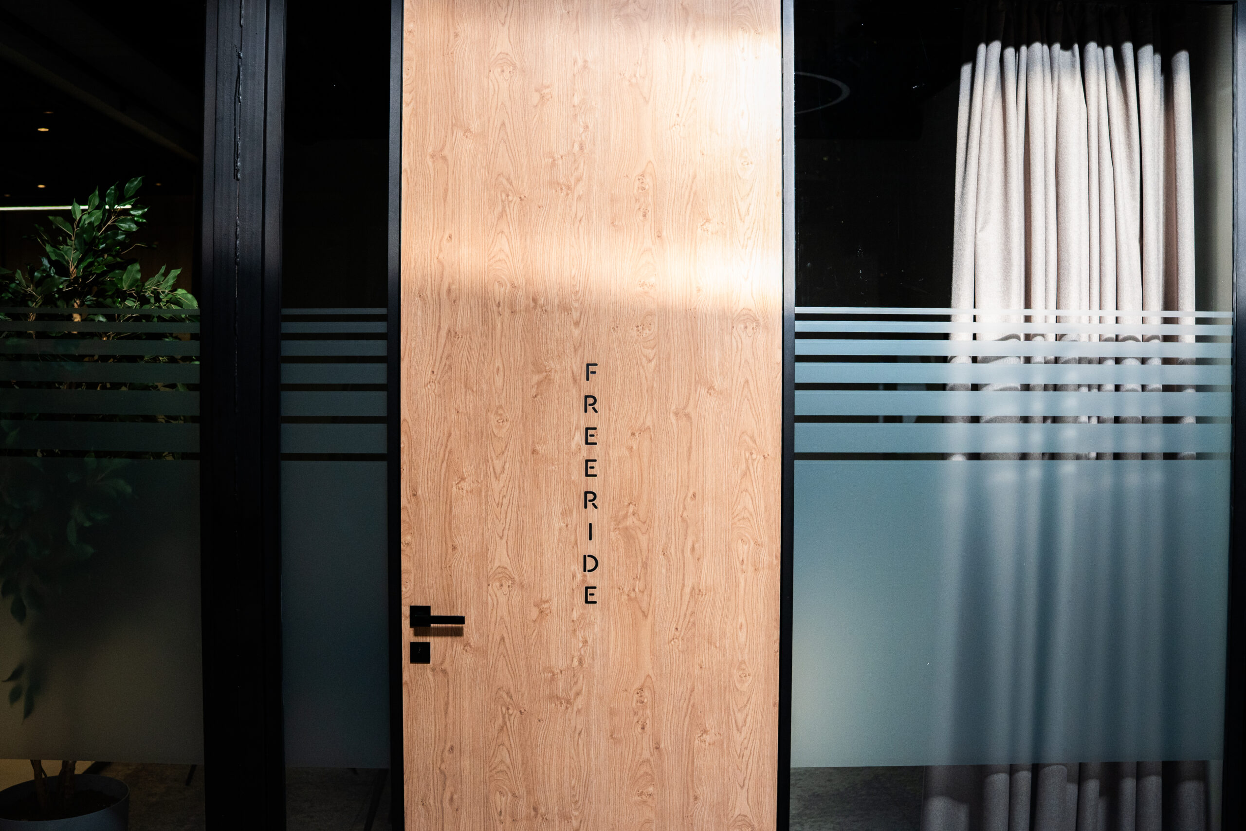 Двері з HPL, проєкт Loft, дизайн-бюро Hochu Rayu
